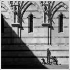 richiamo dell'ombra richiamo dell'ombra