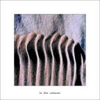 In fila indiana In fila indiana