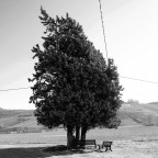 Convergenze Convergenze