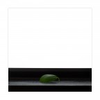 Precoce caducità Precoce caducità