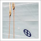 X come X-ray X come X-ray