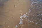 spiaggia spiaggia