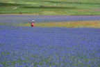 Castelluccio di Norcia... Castelluccio di Norcia...