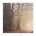 Silence walking Silence walking