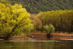 il mio fiume in primavera il mio fiume in primavera