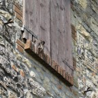 L'ora del pranzo L'ora del pranzo