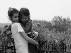 non temere