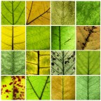 Puzzles - Same topic different subjects 06 Puzzles - Same topic different subjects 06