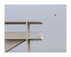 volo