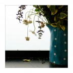 Non vi scordate di noi Non vi scordate di noi