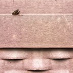 una testa tagliata (o forse due) una testa tagliata (o forse due)