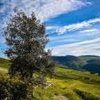 Green and blue Green and blue