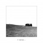 I cipressi.... I cipressi....