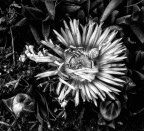 difendersi dall' aggressione difendersi dall' aggressione