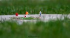 lavori di giardinaggio.. lavori di giardinaggio..