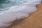 QUESTA E' LA MIA PRIMA FOTO CHE PUBBLICO SU QUESTA RIVISTA ED E' ANCHE UNA DELLE MIE PREFERITE.
E' UNA FOTO SCATTATA IN PORTOGALLO AD ALGARVE .