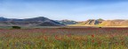 Castelluccio 2019 Castelluccio 2019