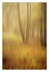 impressioni di ottobre impressioni di ottobre