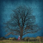 il ritorno il ritorno