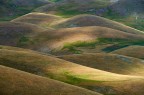 Colline