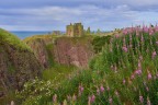 Dunnottar Castle Dunnottar Castle