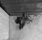 Ectoplasm...iao Ectoplasm...iao