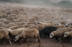 Una fotina senza tante pretese e con diversi errori..Per che vi devo dire...ha qualcosa che mi.piace...
Non son sicura della sezione,in caso ragazzi a vostra discrezione per lo spostamento
Buona domenica a voi! 
Suggerimenti e critiche sempre ben accetti