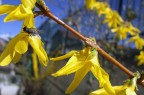 Prova Macro Prova Macro