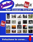 Contest 424 free4U - Votazione in corso Contest 424 free4U - Votazione in corso