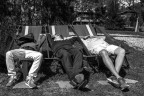 siesta siesta