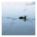 fruscio d'ali... fruscio d'ali...