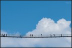 Walking on the clouds Walking on the clouds