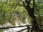 Parco del castello di Agli