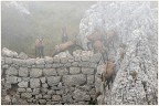 Nebbia a quota 1970 slm Nebbia a quota 1970 slm
