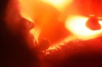 Interno di peperone rosso, macro.