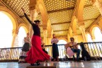 Flamenco