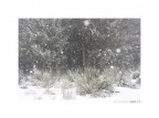 Winter story Winter story