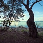 05102019_7R33911-3 05102019_7R33911-3