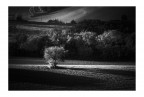 Macerata - ottobre '19

Sony a6000 - Vivitar S1 70-210 f3.5
