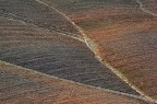 Terra Toscana 2