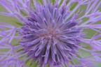 st_DSC8084