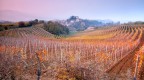 On the wine road On the wine road