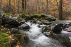 Il torrente e i suoi colori d'autunno