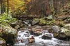 Il torrente e i suoi colori d'autunno2 Il torrente e i suoi colori d'autunno2