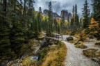 Foliage fra le dolomiti