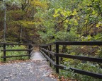 Il pontile nel bosco..