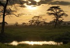 Laggi nel Serengeti