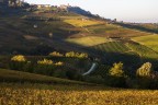 Autunno nelle langhe Autunno nelle langhe