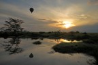 Eravamo gi svegli da un p, gli animali nel Serengeti si svegliano presto. Da poco lasciata la comodit dell'unico lusso concessoci durante il viaggio e incontriamo qualcuno che deve essersi svegliato prima di noi. Per vedere il Seronera dall'alto con la luce radente dell'alba deve esserne valsa la pena per.