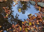 Riflessi..